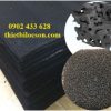 Tấm carbon 10mm khử mùi hôi