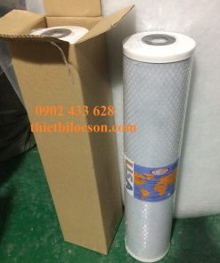 Lõi CTO 20 inch than hoạt tính big blue