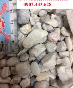 Sỏi đỡ lọc nước