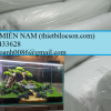 Bông trắng 20mm lọc nước nuôi cá cảnh