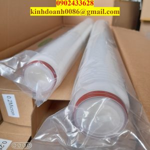 Lõi lọc vi sinh Clean & Green 30 inch lọc tinh thực phẩm